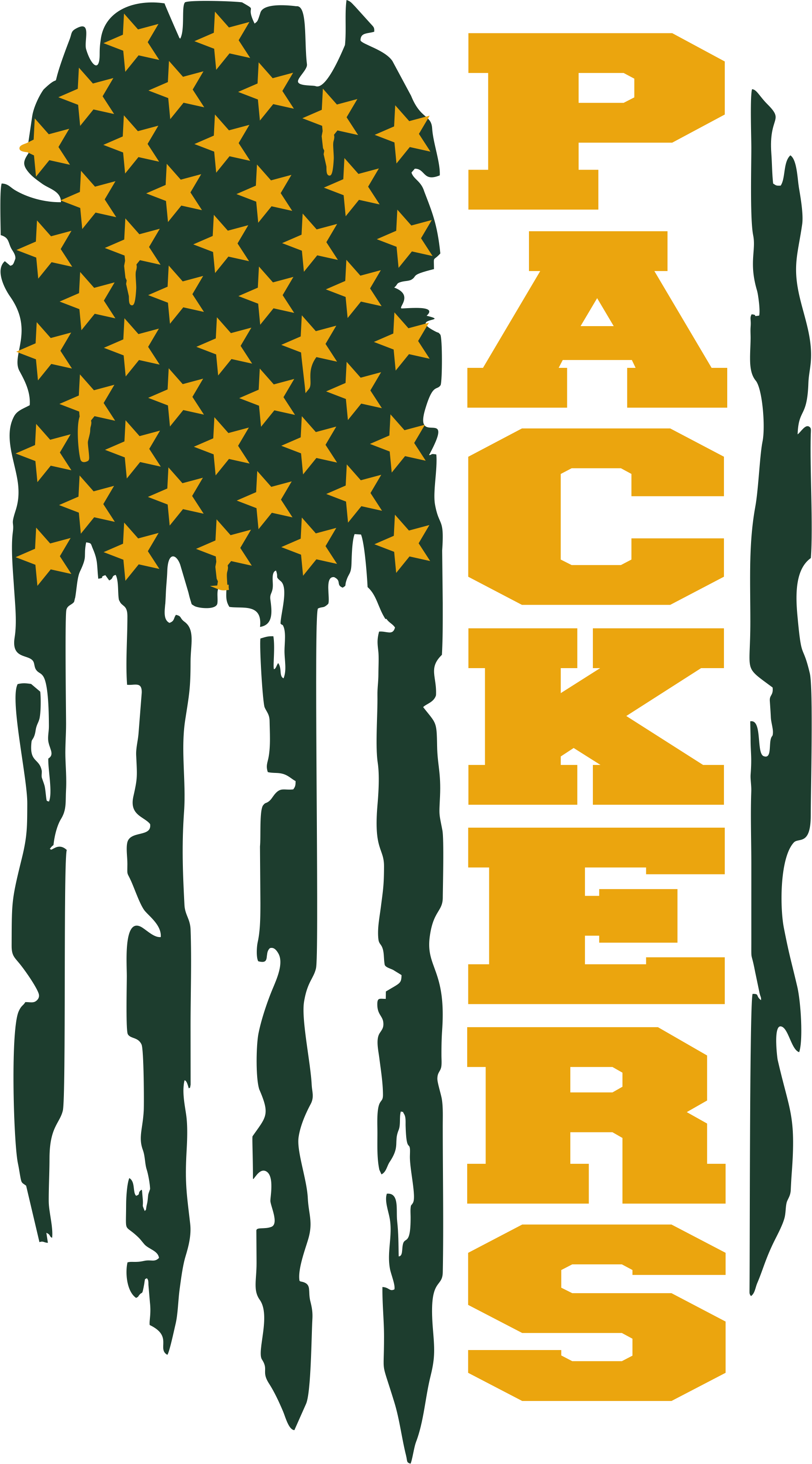 💚💛 Green & Gold Packers Flag – DTF Transfer