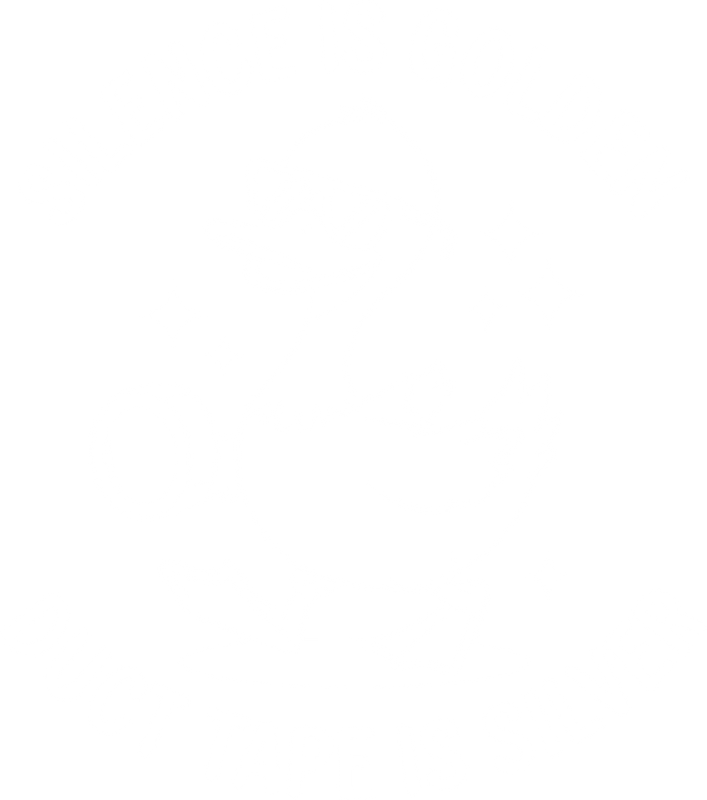 🦆🛠️ “Silence Is Golden, Duct Tape Is Silver” – Funny Duck DTF Transfer